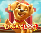 Lucky Dog PP